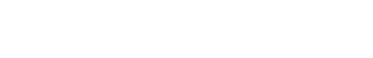 Excavations A.N.S.